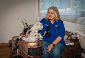 debbie-dogs