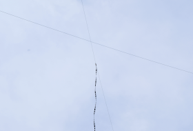 DSF3295